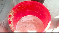 藜麥除雜振動篩效果對比:藜麥液體分離效果